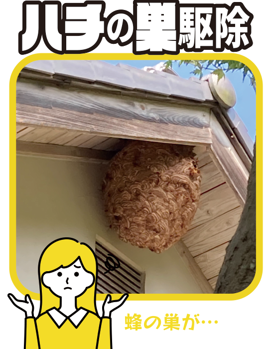 ハチの巣駆除
